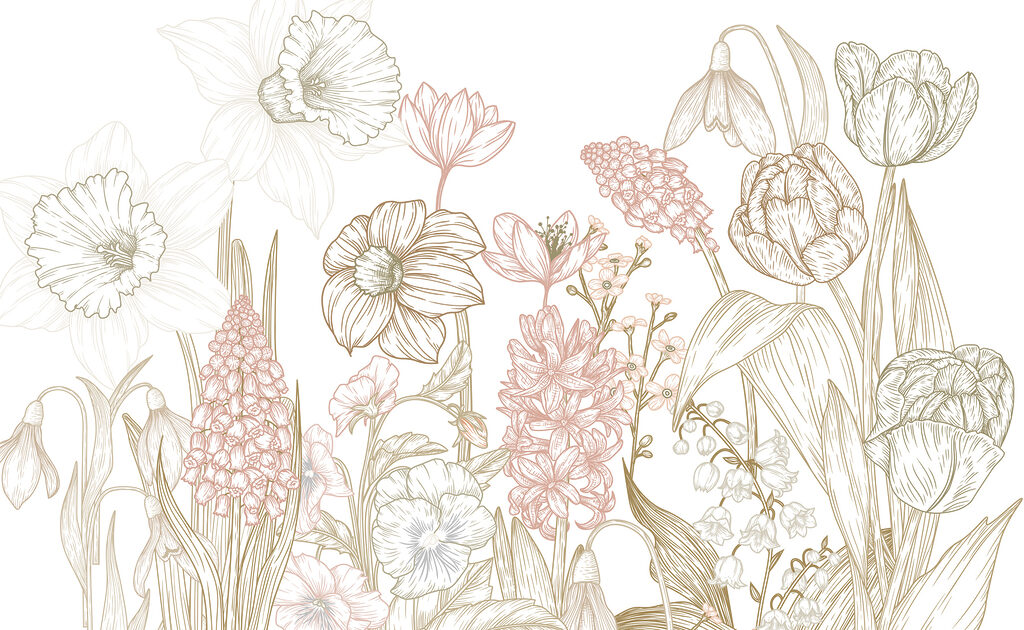 Drawing of flowers and plants Drawing of flowers and plants