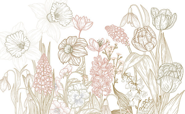 Drawing of flowers and plants Drawing of flowers and plants