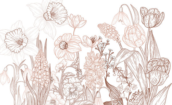 Drawing of flowers and leaves Drawing of flowers and leaves