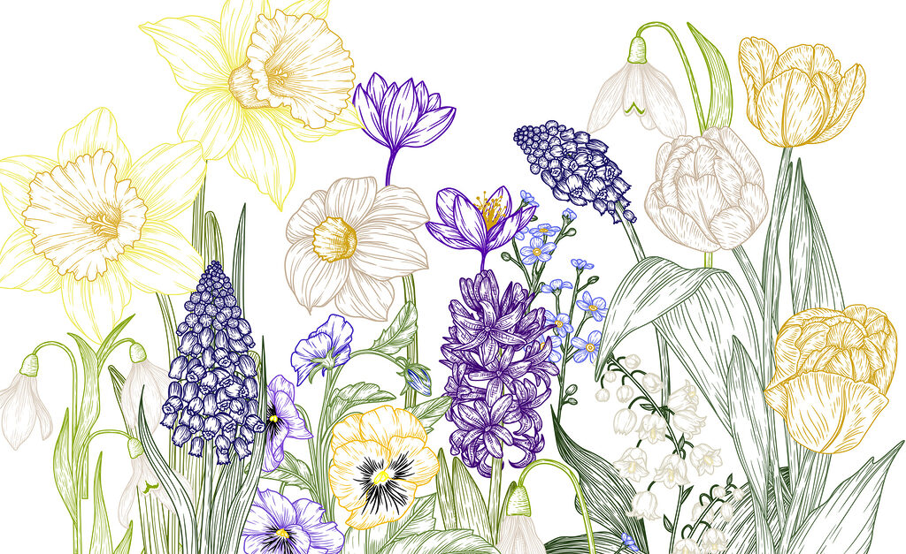 Group of flowers with green leaves Group of flowers with green leaves