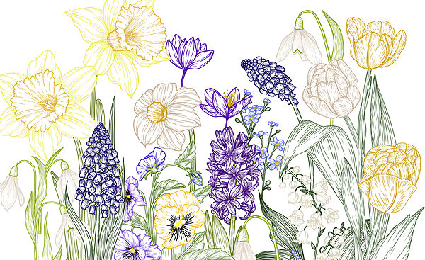 Group of flowers with green leaves Group of flowers with green leaves