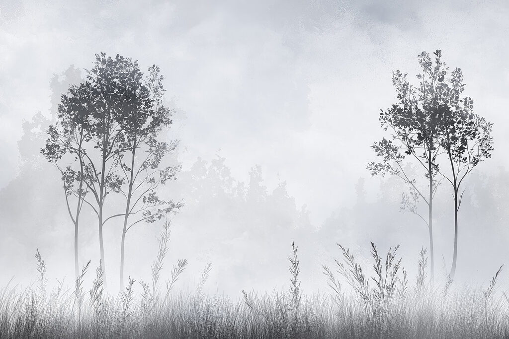 Foggy landscape with trees and grass Foggy landscape with trees and grass
