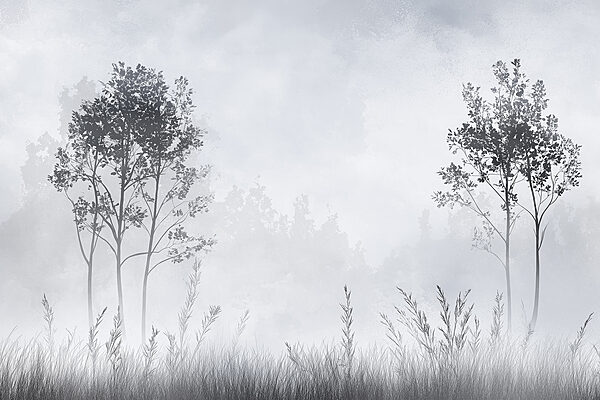 Foggy landscape with trees and grass Foggy landscape with trees and grass