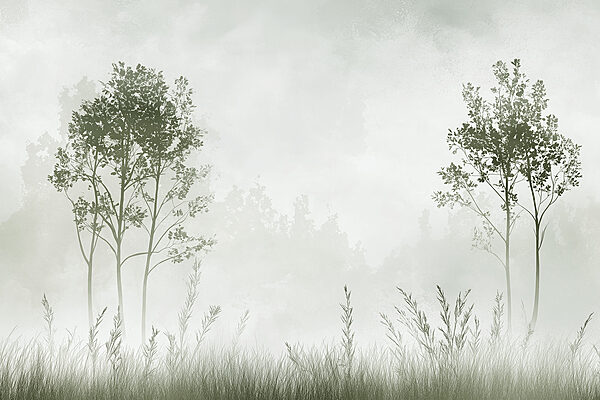 Foggy landscape with trees and grass Foggy landscape with trees and grass
