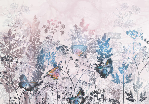 Butterflies on a plant Butterflies on a plant
