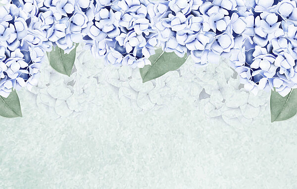 Group of white flowers with green leaves Group of white flowers with green leaves