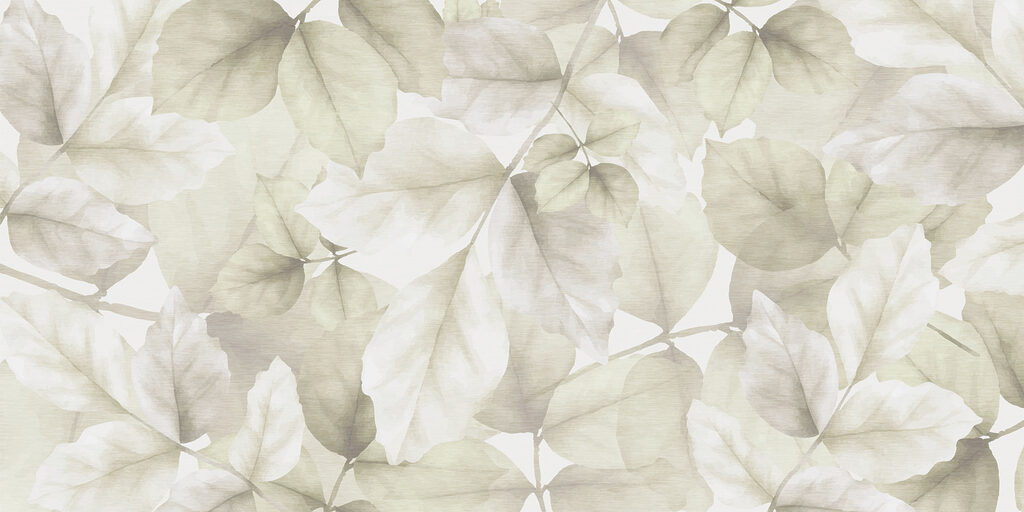 Close up of leaves