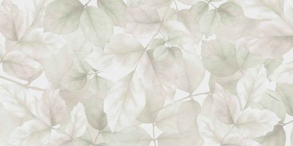 Close up of leaves Close up of leaves