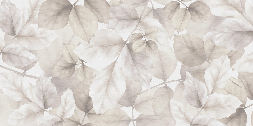 Close up of leaves Close up of leaves