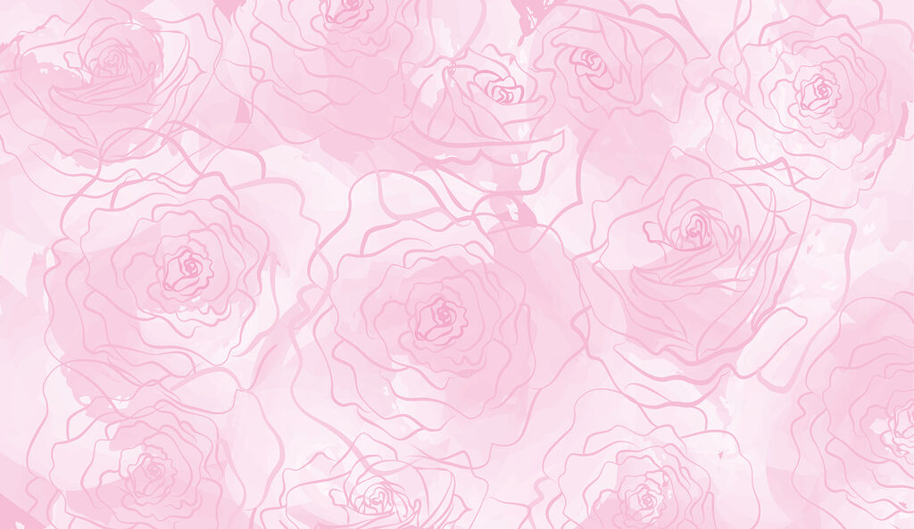 Pink roses on a white background Pink roses on a white background