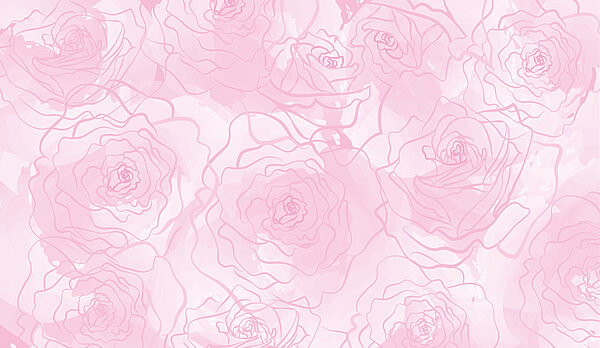 Pink roses on a white background Pink roses on a white background