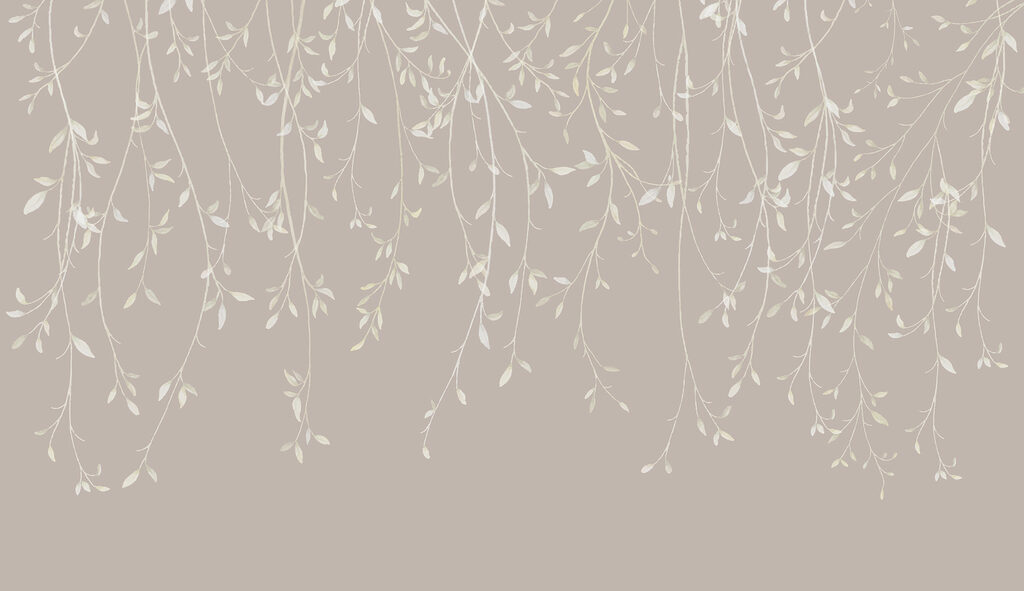 Close up of a plant Close up of a plant