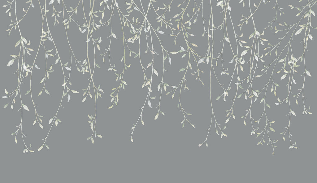 Close up of a branch Close up of a branch