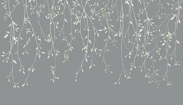 Close up of a branch Close up of a branch
