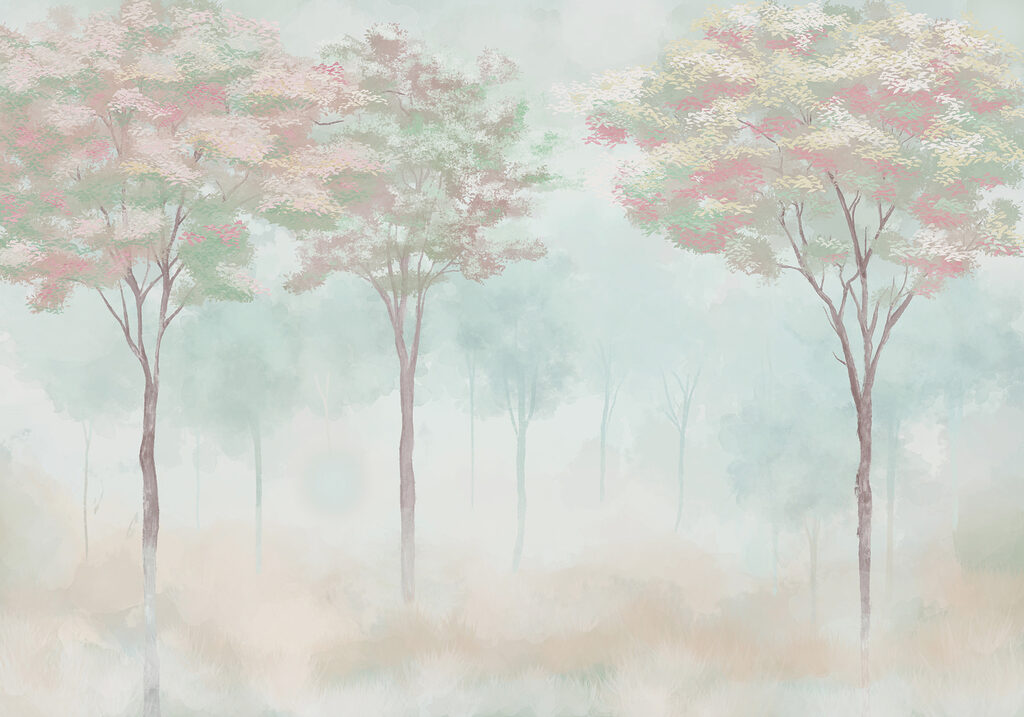 Group of trees in a foggy forest Group of trees in a foggy forest