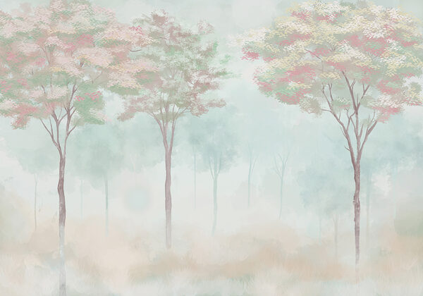Group of trees in a foggy forest Group of trees in a foggy forest