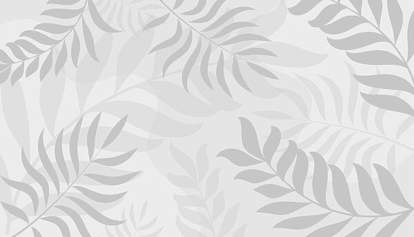 Grey leaves on a white background Grey leaves on a white background