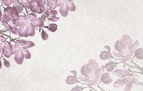Purple flowers on a white background Purple flowers on a white background
