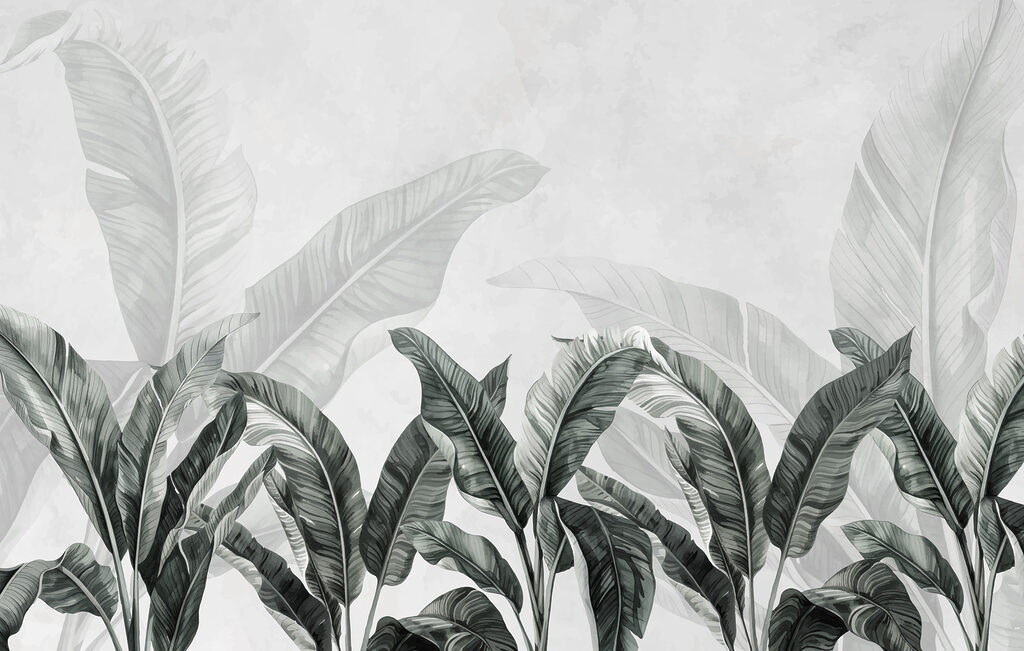 Group of leaves on a white background Group of leaves on a white background