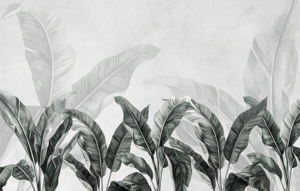 Group of leaves on a white background Group of leaves on a white background