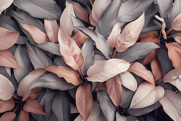 Group of leaves with pink and grey leaves Group of leaves with pink and grey leaves