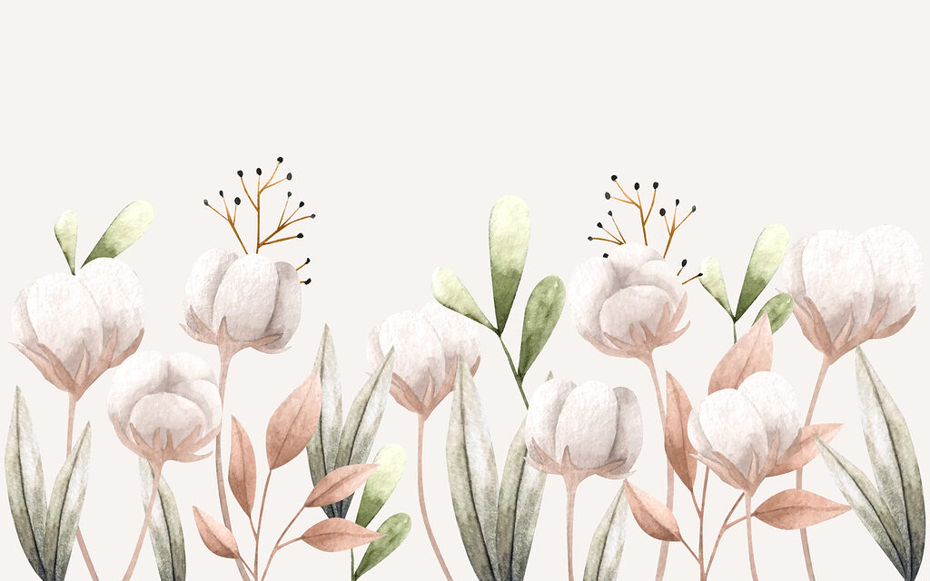 Watercolor cotton flowers and leaves Watercolor cotton flowers and leaves