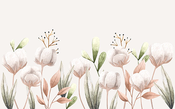 Watercolor cotton flowers and leaves Watercolor cotton flowers and leaves