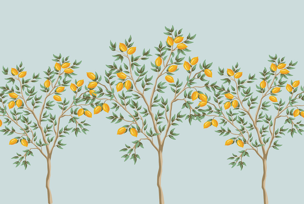Group of lemon trees with fruits on them Group of lemon trees with fruits on them