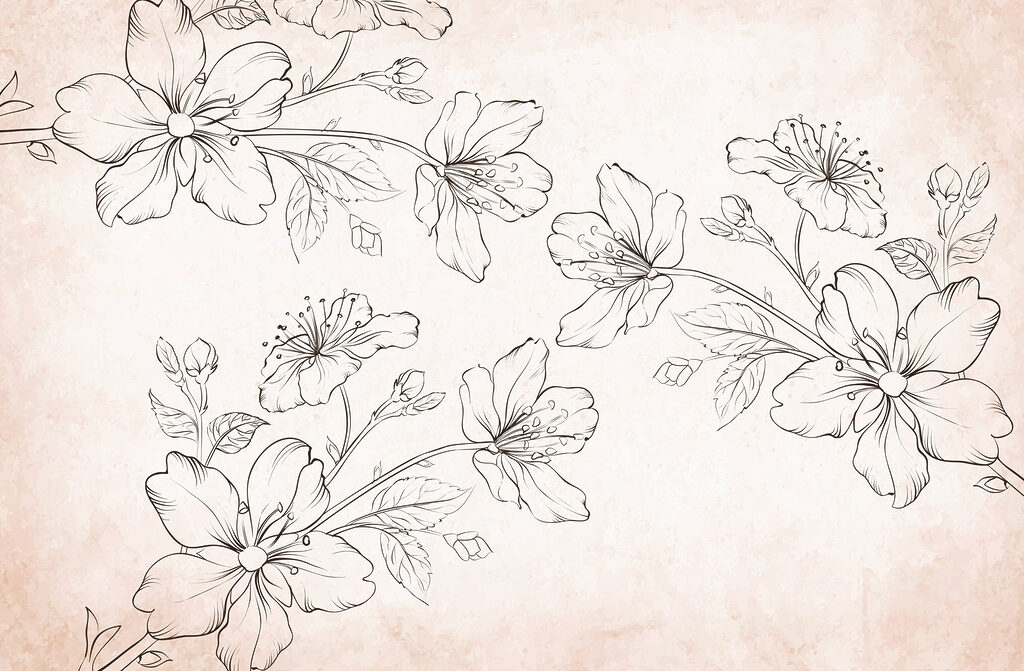 Drawing of flowers on a white background Drawing of flowers on a white background
