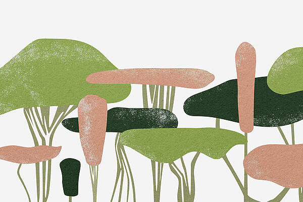 Group of trees with green and pink leaves Group of trees with green and pink leaves