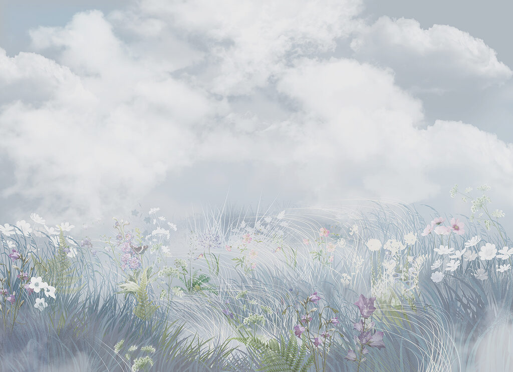 Field of flowers and grass