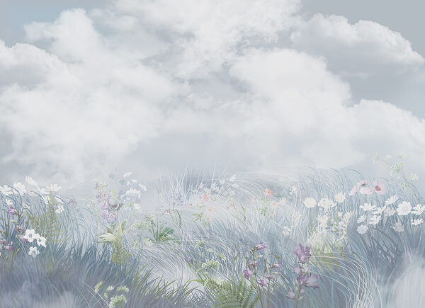 Field of flowers and grass