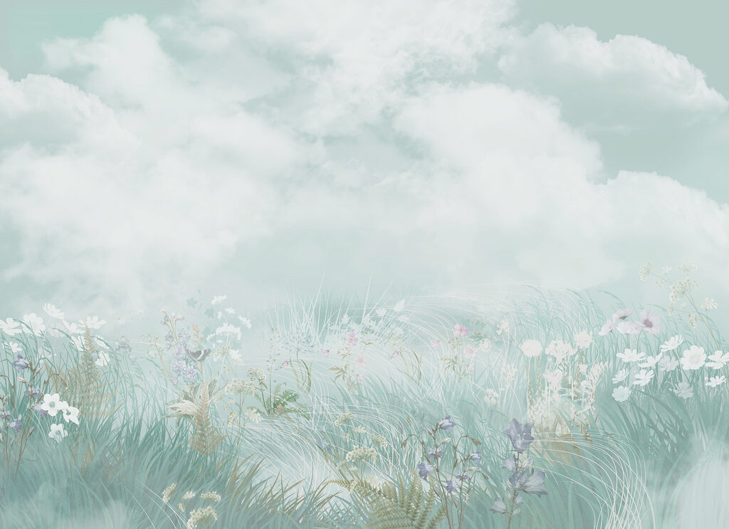 Field of grass and flowers Field of grass and flowers