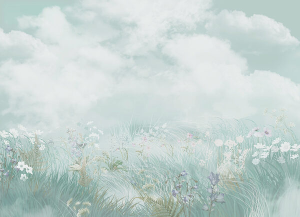 Field of grass and flowers Field of grass and flowers