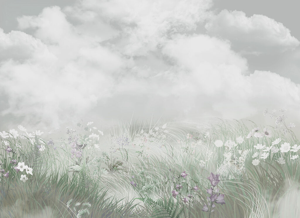 Field of grass and flowers Field of grass and flowers