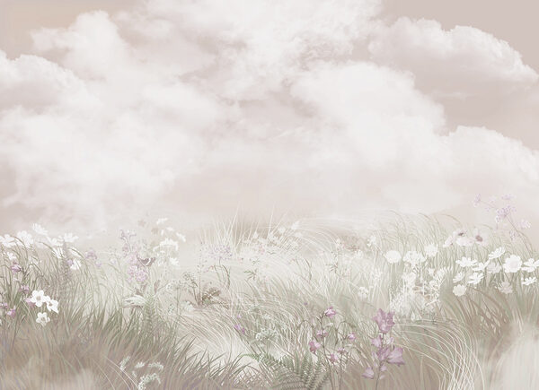 Field of grass and flowers Field of grass and flowers