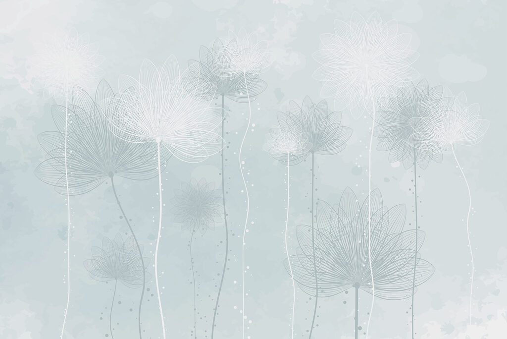 White flowers on a light blue background White flowers on a light blue background