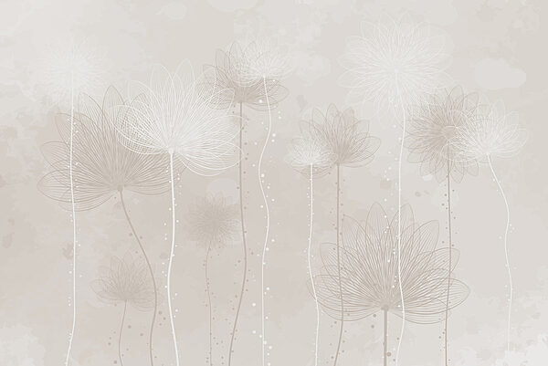 White flowers on a gray background White flowers on a gray background