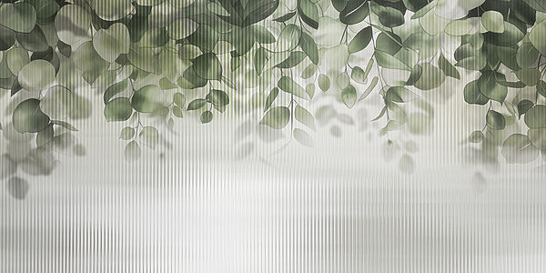 Green leaves from a window Green leaves from a window