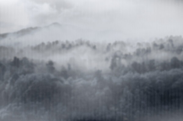Foggy landscape with trees Foggy landscape with trees