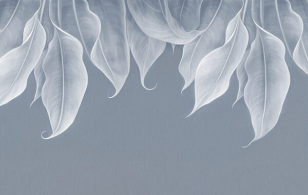 Close up of leaves Close up of leaves