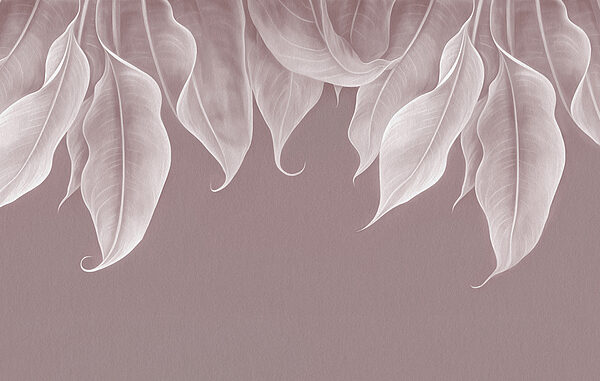 Close up of leaves Close up of leaves