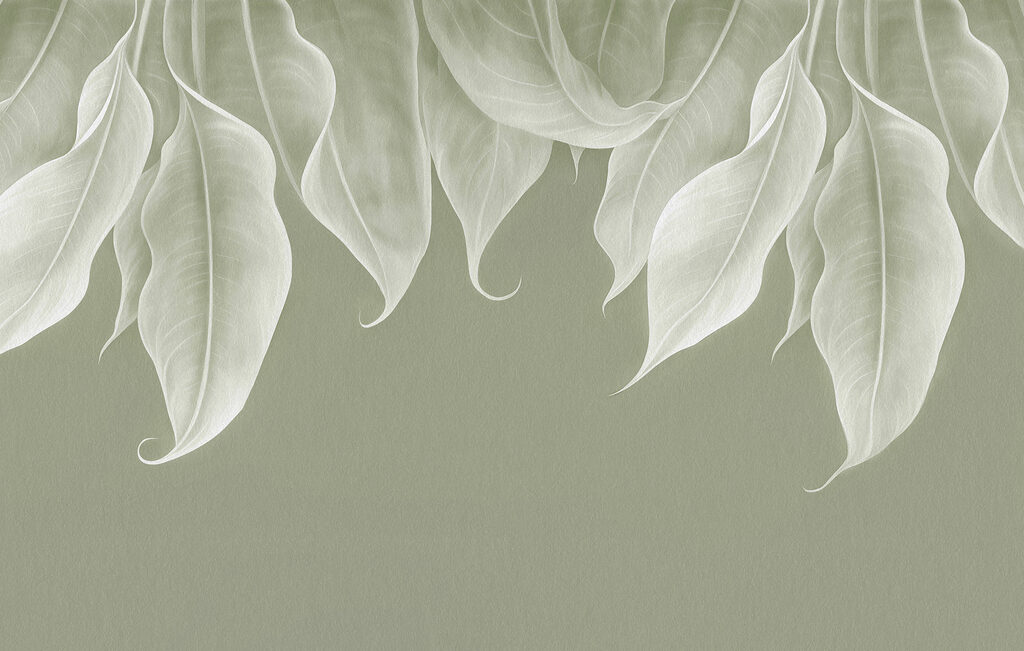 Close up of leaves Close up of leaves