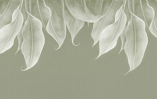 Close up of leaves Close up of leaves