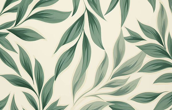 Close up of leaves Close up of leaves