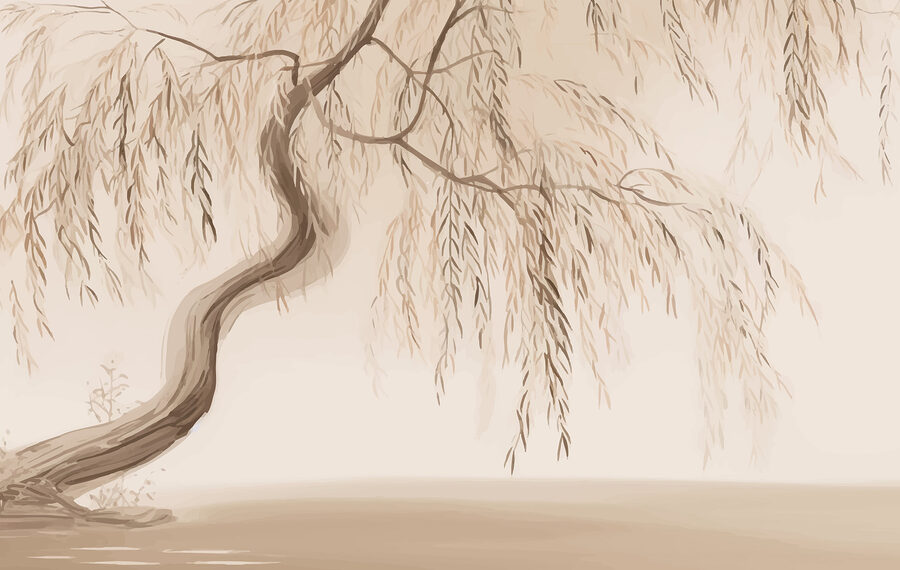 Tree with branches and leaves Tree with branches and leaves