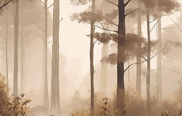 Foggy forest with tall trees Foggy forest with tall trees