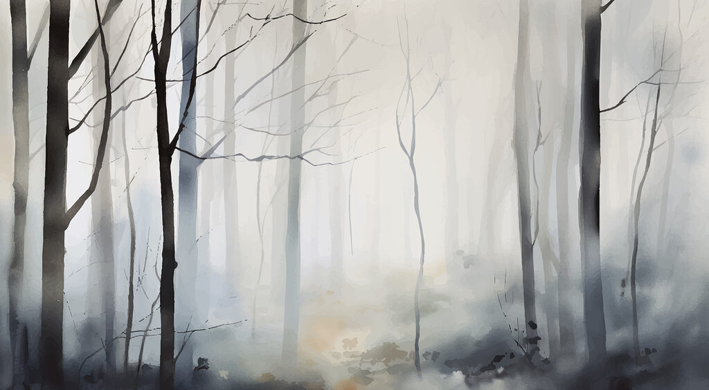Foggy forest with trees Foggy forest with trees