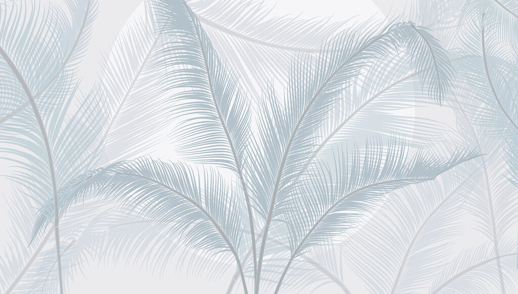 Group of feathers on a white background Group of feathers on a white background