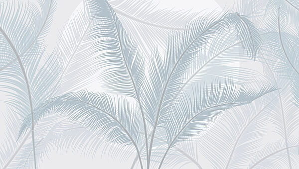Group of feathers on a white background Group of feathers on a white background